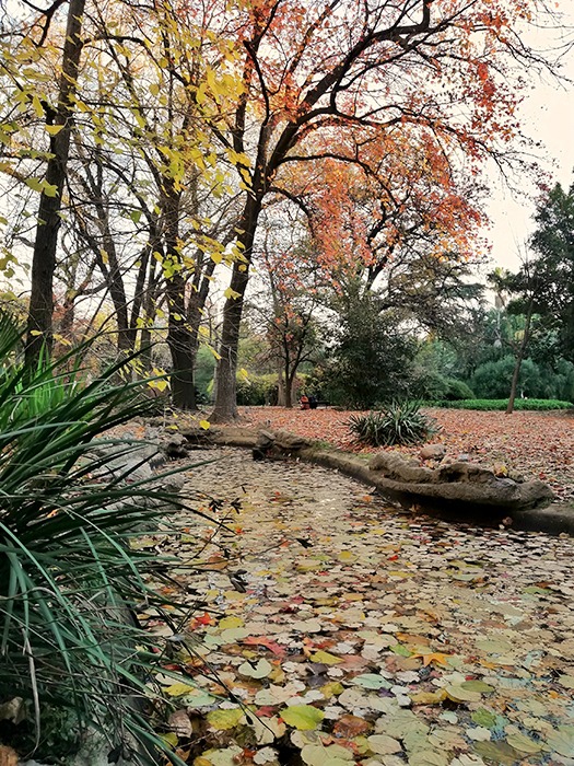 Colores del otoño en el jardín botánico