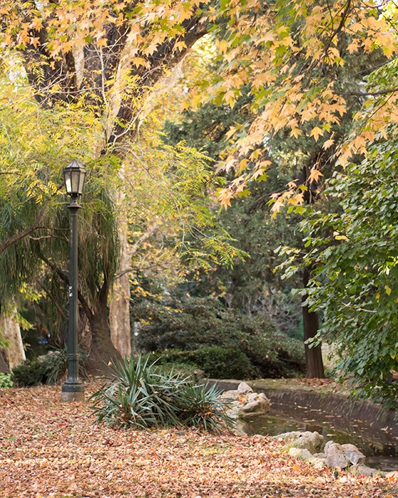 Senderos de otoño en el jardín botánico Carlos Thays