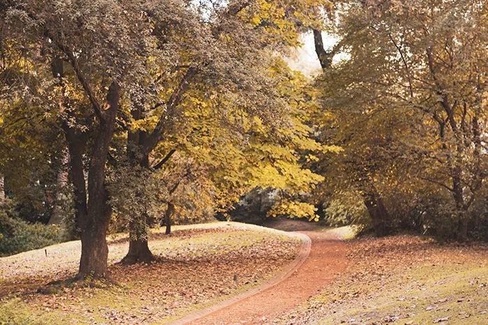 Senderos de otoño en el jardín botánico