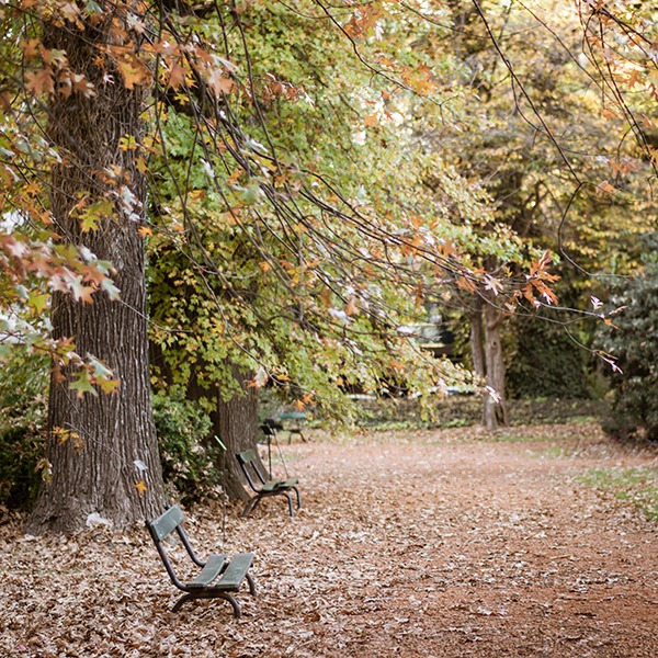 Otoño en el jardín botánico Carlos Thays