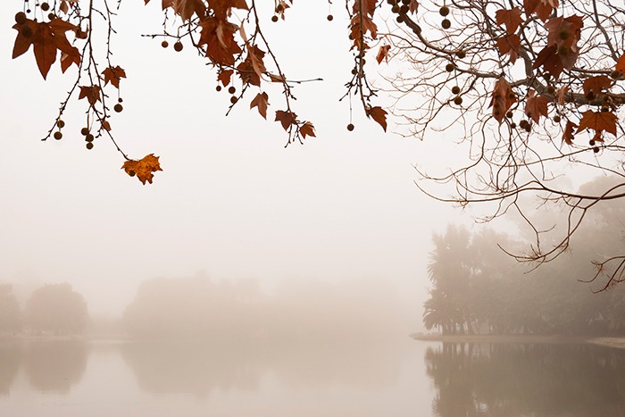 lagos de palermo en la niebla