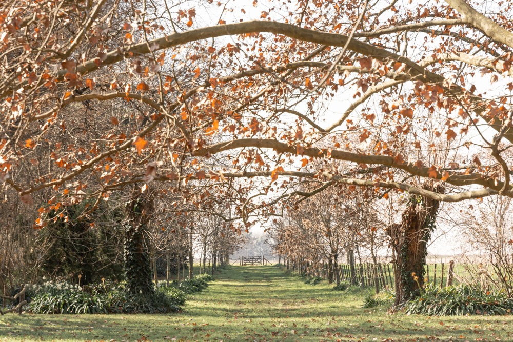 Un día de campo con amigas emprendedoras