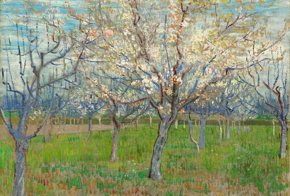 Vincent Van Gogh y sus árboles frutales en flor