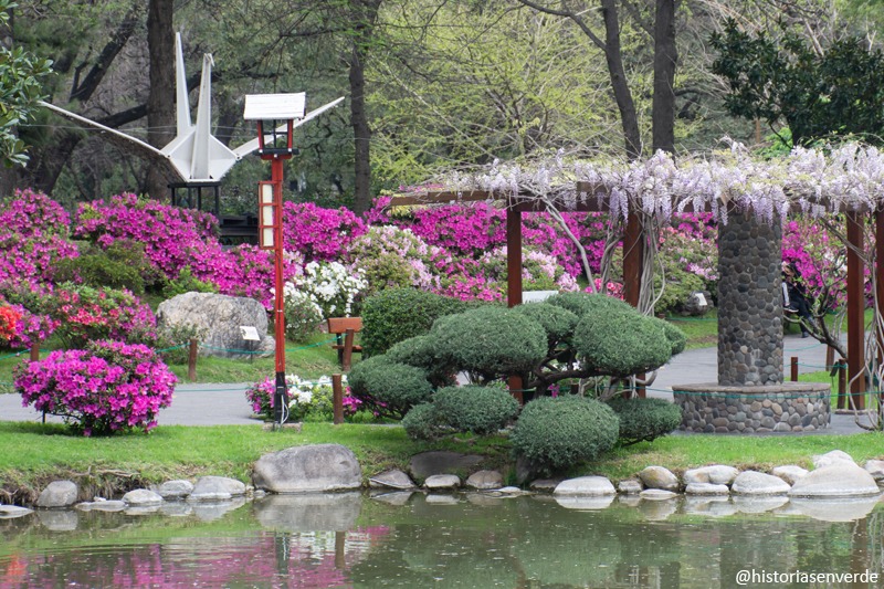 jardín japonés azaleas y glicinas