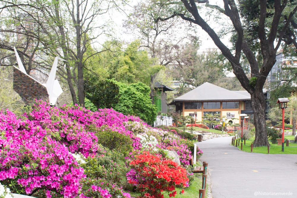 Los colores de la primavera en el Jardín Japonés