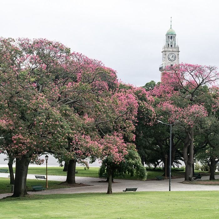 Rosedal de Palermo en Primavera