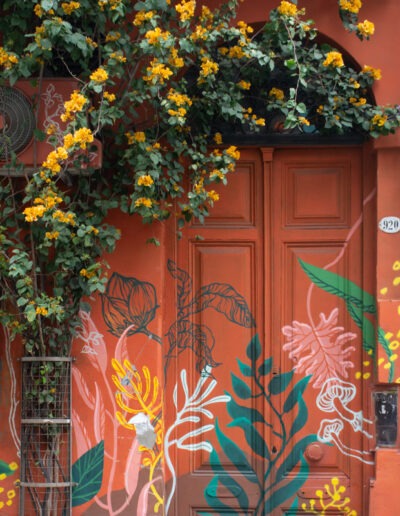 Mural Botánico y Santa Rita, Bolívar 920